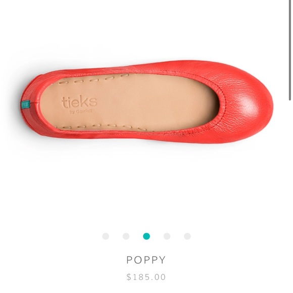 Brand new Poppy size 7 Tieks- currently sold out on Tieks website! - Picture 4 of 5